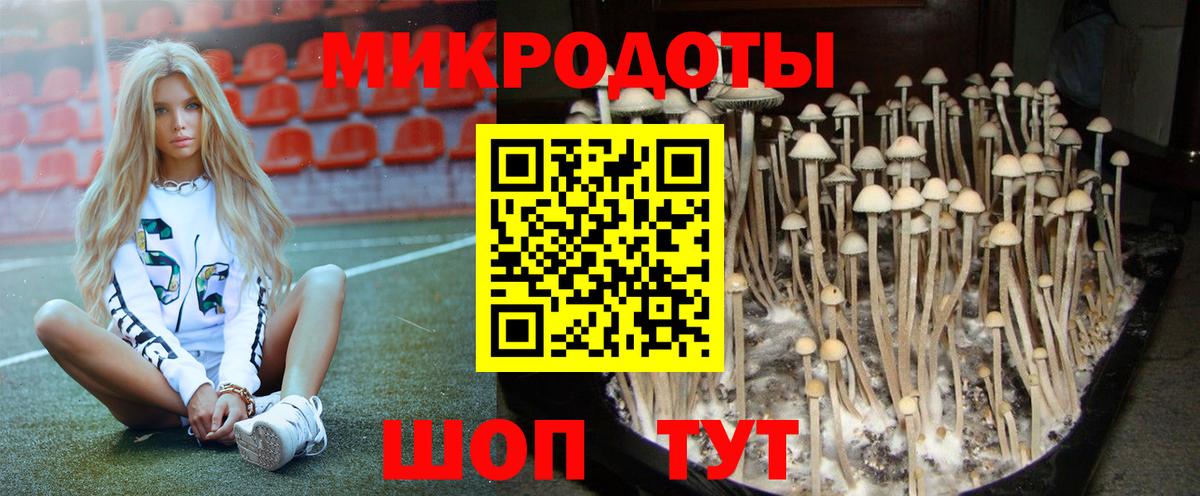 Галлюциногенные грибы Psilocybine cubensis Урай